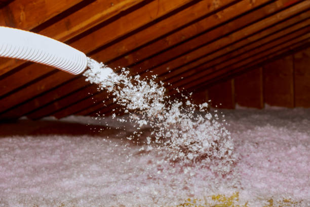Best Insulation Materials and Products in Grand Haven, MI